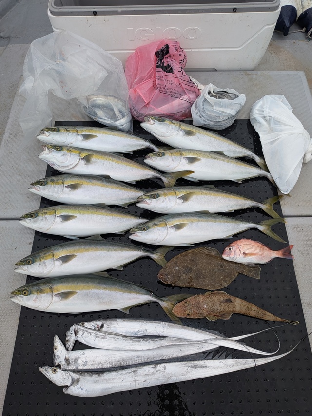 タイ(マダイ)・ブリ・タチウオ・ヒラメ