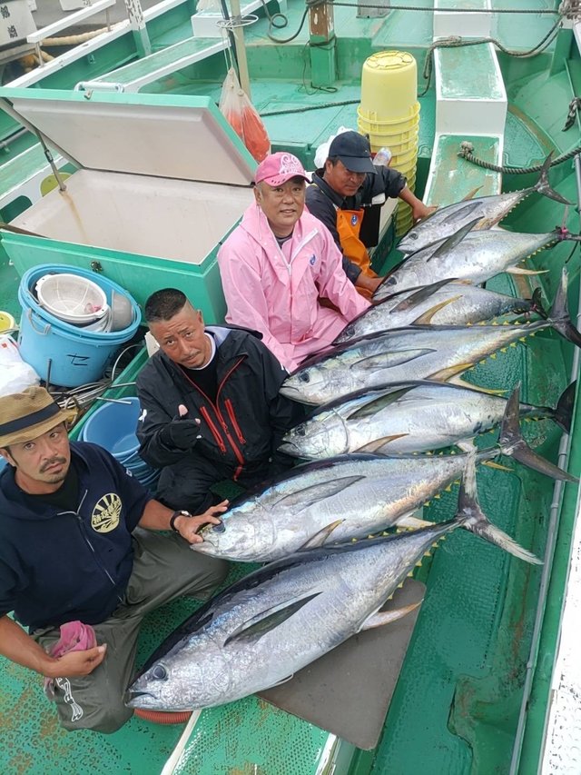 マグロ(キハダ)