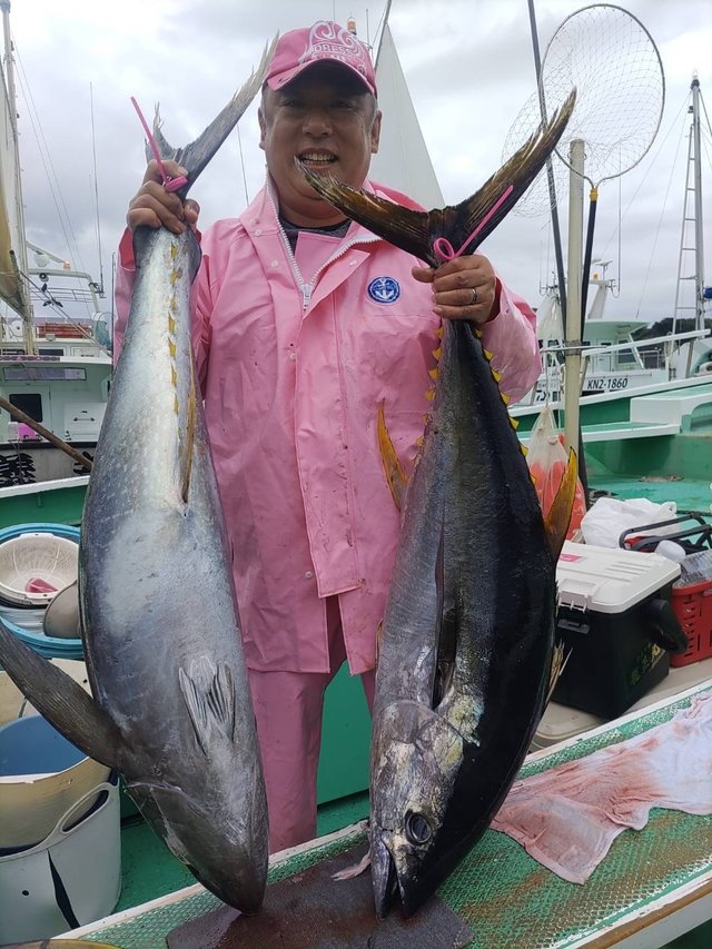 マグロ(キハダ)