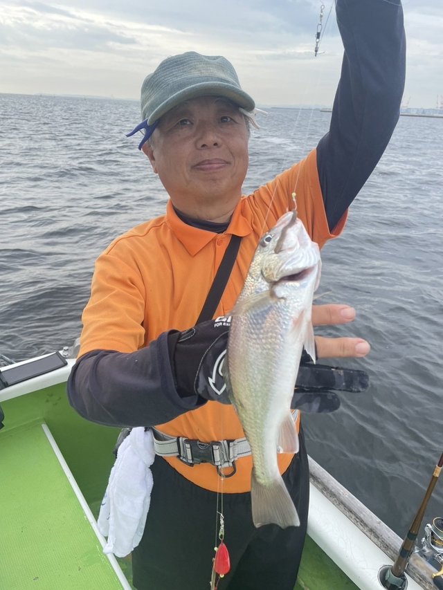 イシモチ(シログチ)