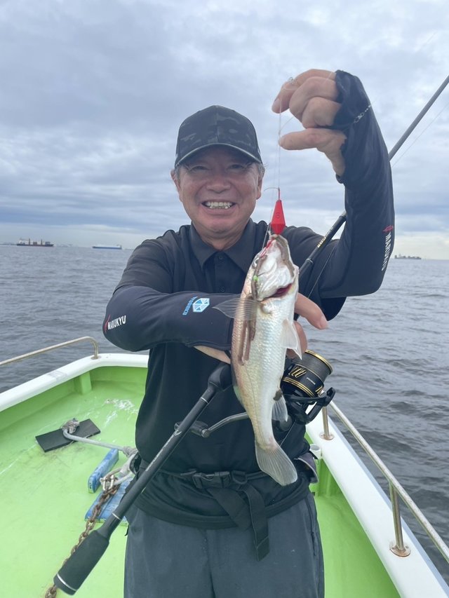 イシモチ(シログチ)