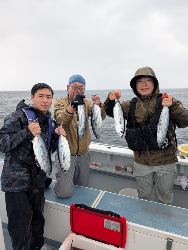 ホンガツオ(カツオ)