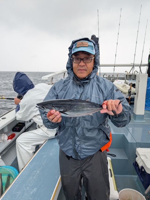 ホンガツオ(カツオ)