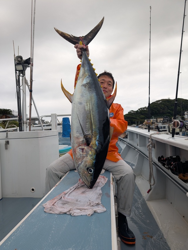 キハダマグロ(キハダ)