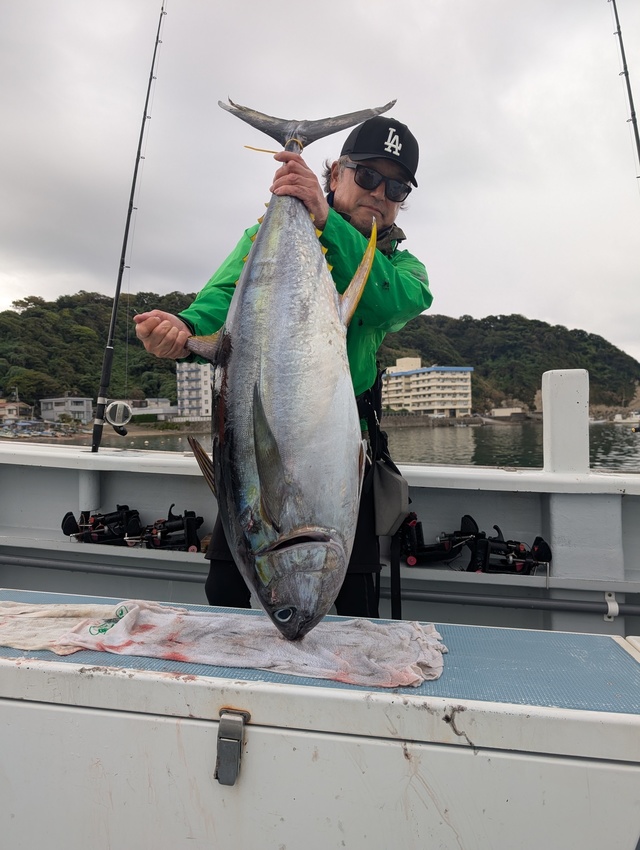 キハダマグロ(キハダ)