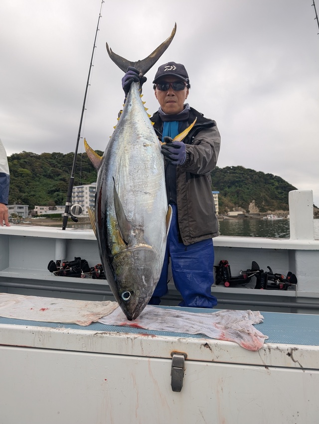 キハダマグロ(キハダ)