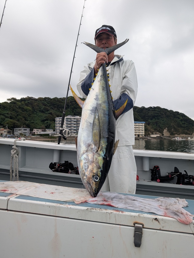 キハダマグロ(キハダ)