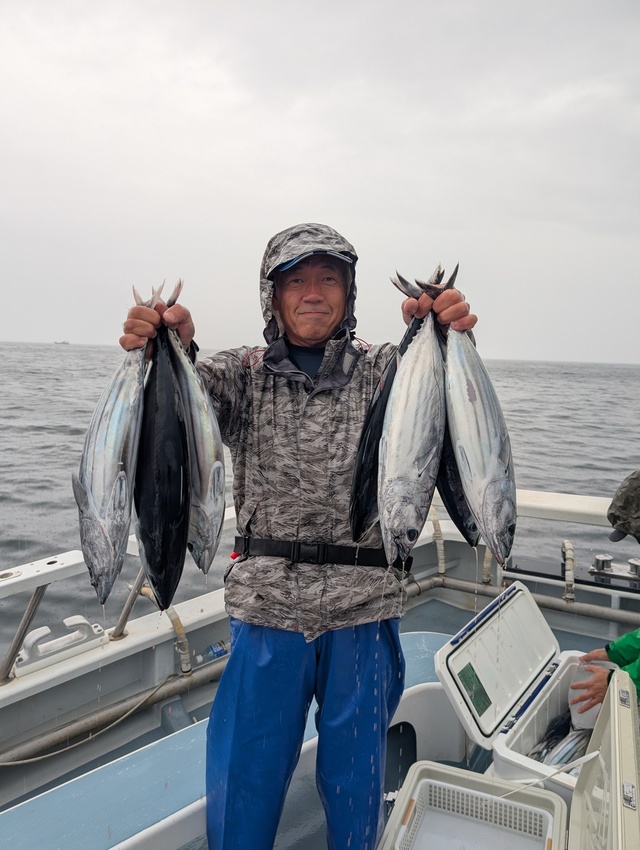 ホンガツオ(カツオ)