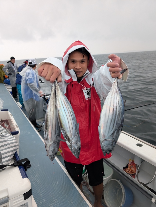 ホンガツオ(カツオ)