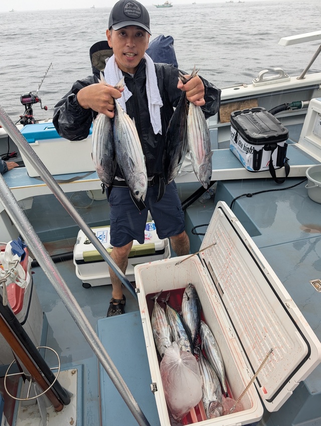 ホンガツオ(カツオ)