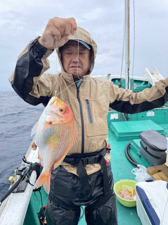 レンコダイ(キダイ)