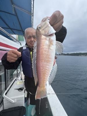 アマダイ(アカアマダイ)