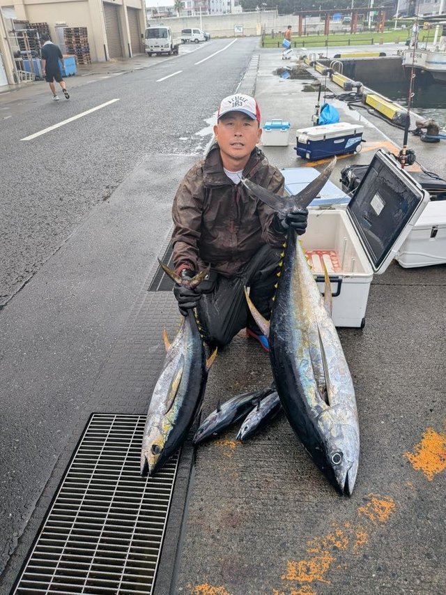 キハダ・カツオ