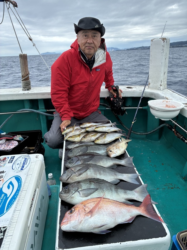 マダイ・グレ(メジナ)・メイチダイ