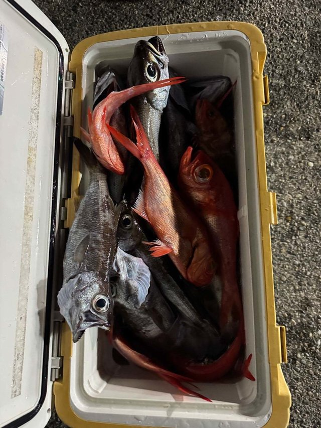 ムツ・キンメ(キンメダイ)