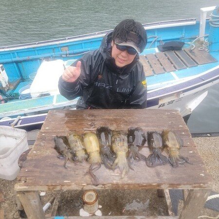 アオリ(アオリイカ)