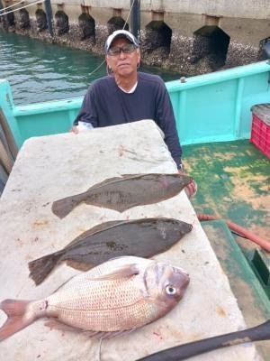 マダイ・ヒラメ