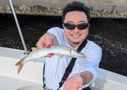 カマス(アカカマス)