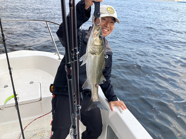 シーバス(スズキ)