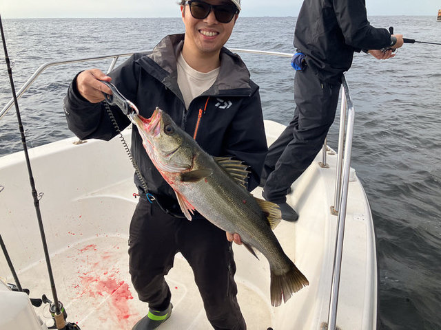 シーバス(スズキ)