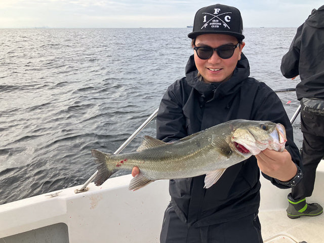 シーバス(スズキ)