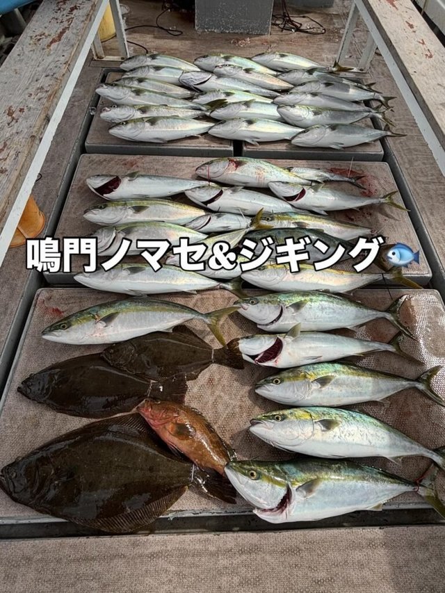 アコウ(キジハタ)・ハマチ(ブリ)・メジロ(ブリ)・ヒラメ