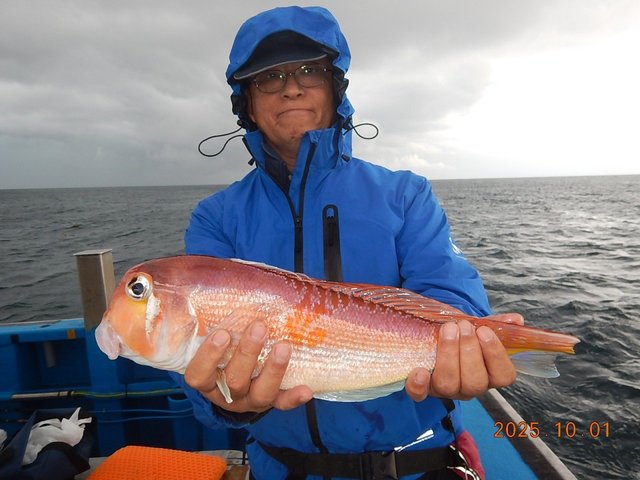 アマダイ(アカアマダイ)