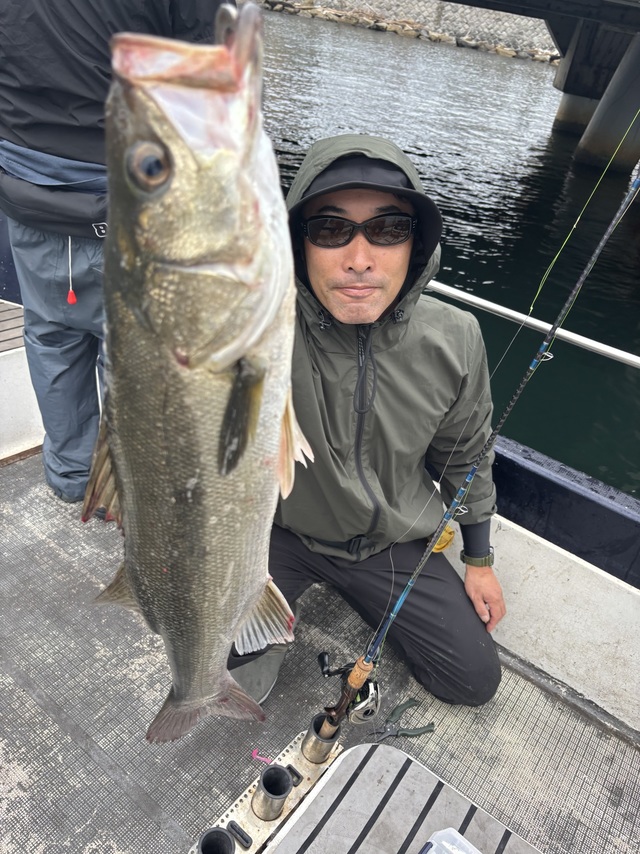 シーバス(スズキ)