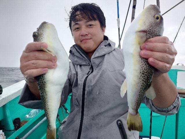 ショウサイフグ