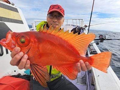 キントキ(チカメキントキ)