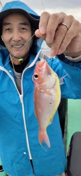 イトヨリ(イトヨリダイ)