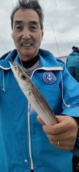 カマス(アカカマス)