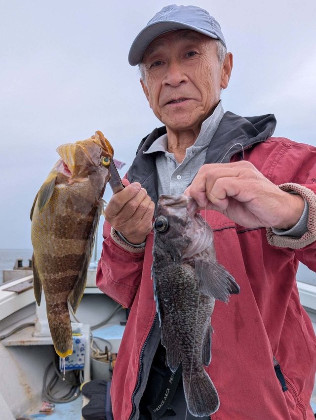 キジハタ・クロソイ