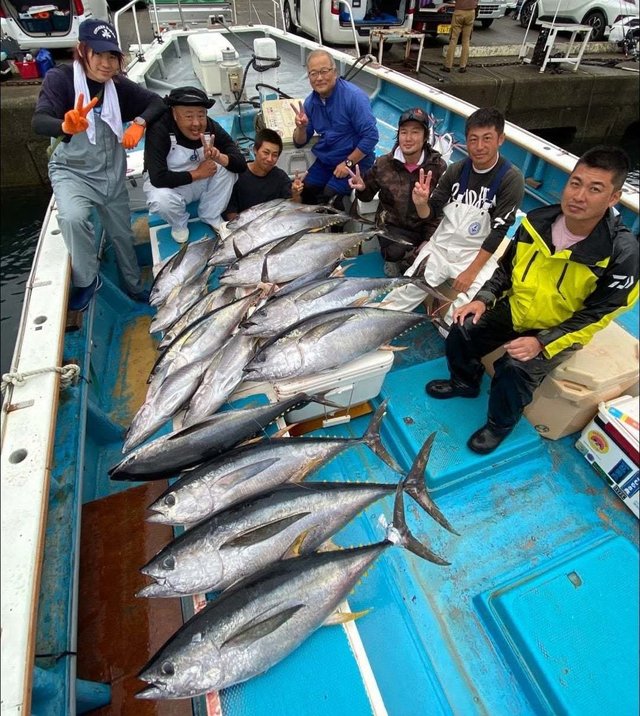 キハダ・キメジ(キハダ)