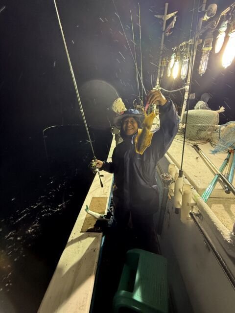 アオリ(アオリイカ)