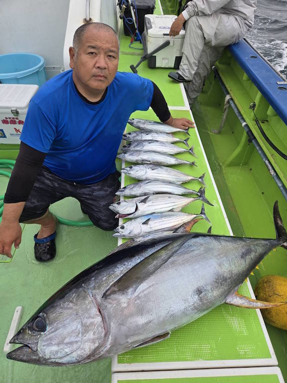 キメジ(キハダ)・カツオ