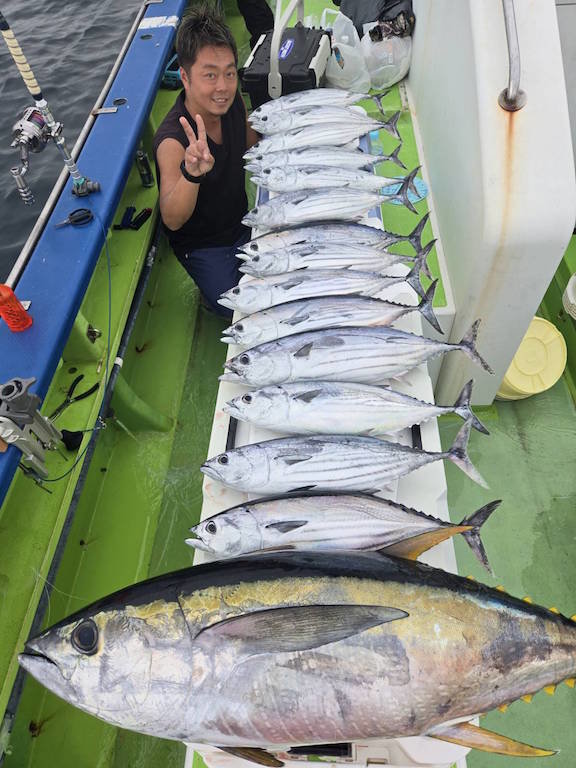 キメジ(キハダ)・カツオ