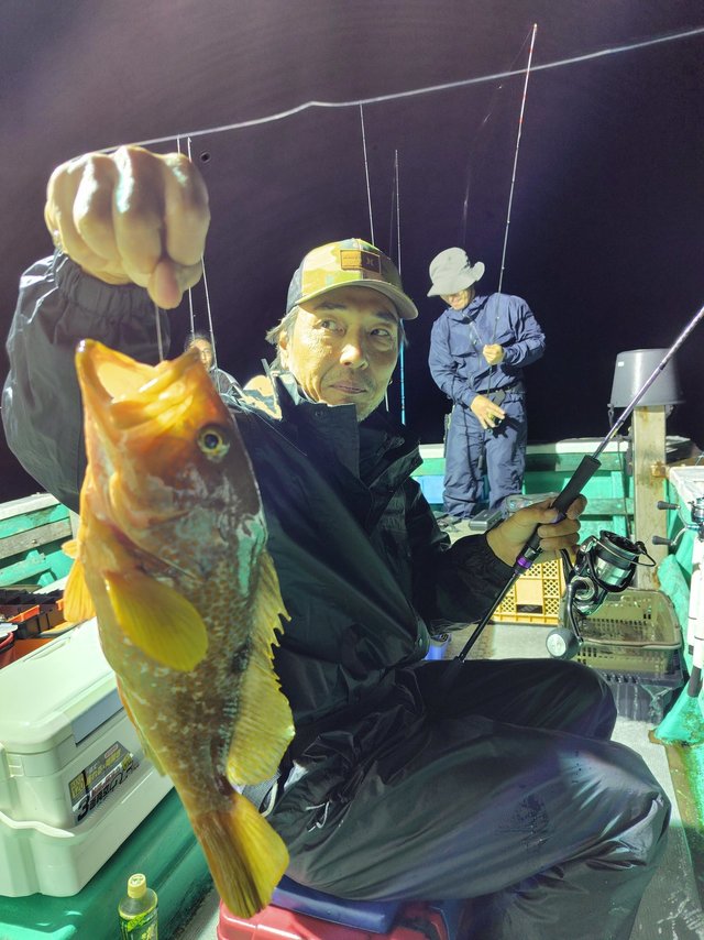 アコウ(キジハタ)