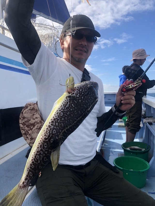 ショウサイフグ