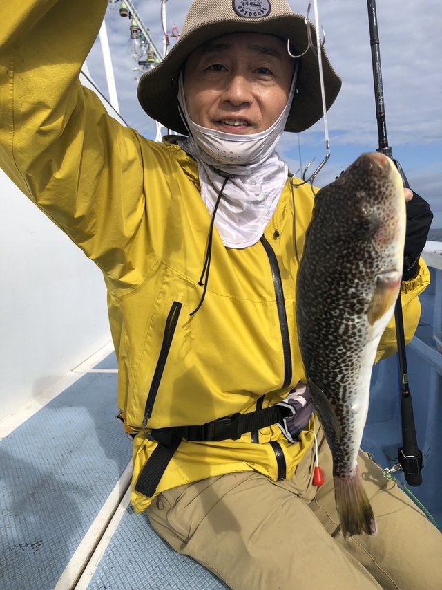 ショウサイフグ