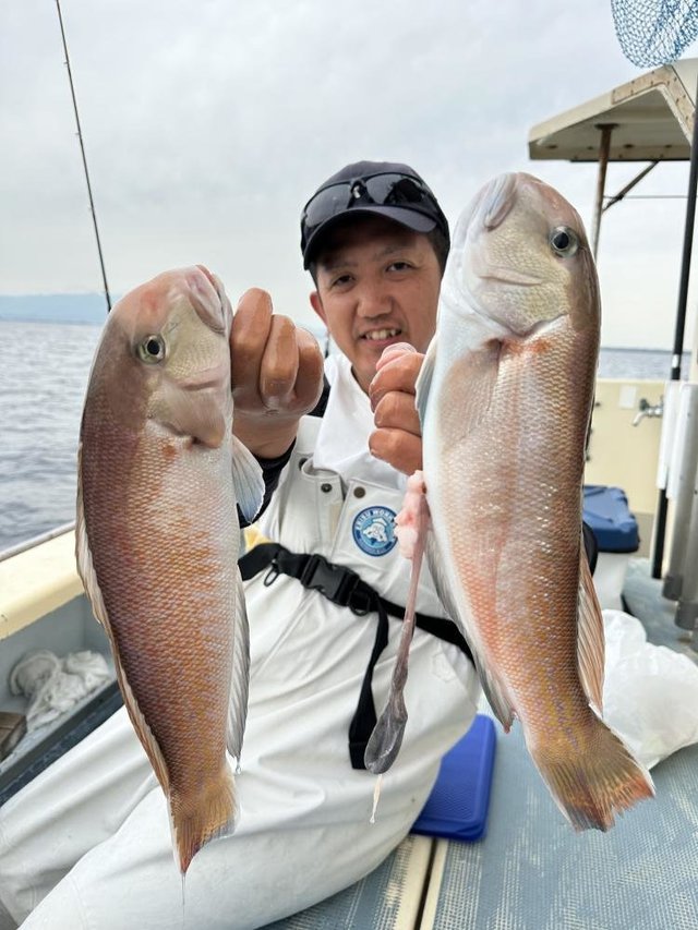 アマダイ(アカアマダイ)