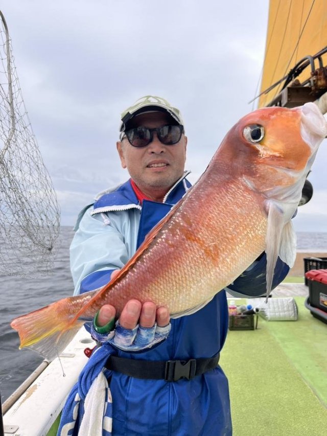 アマダイ(アカアマダイ)