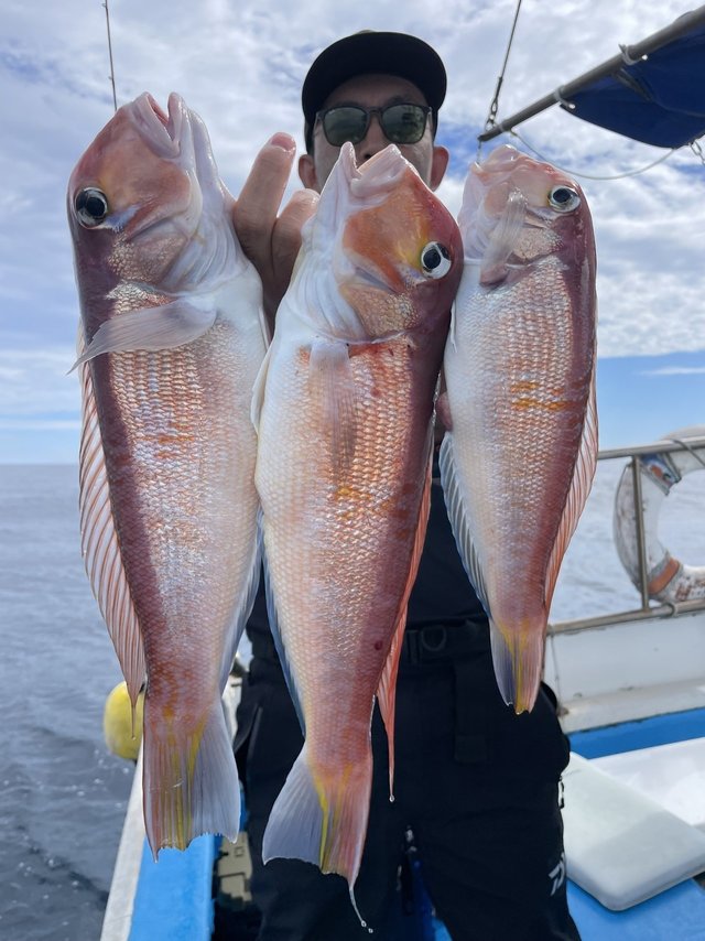 アマダイ(アカアマダイ)