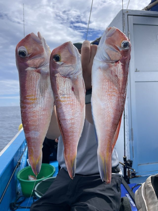 アマダイ(アカアマダイ)
