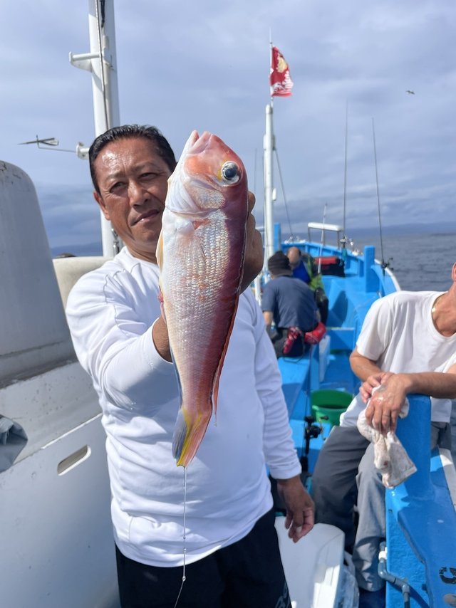 アマダイ(アカアマダイ)