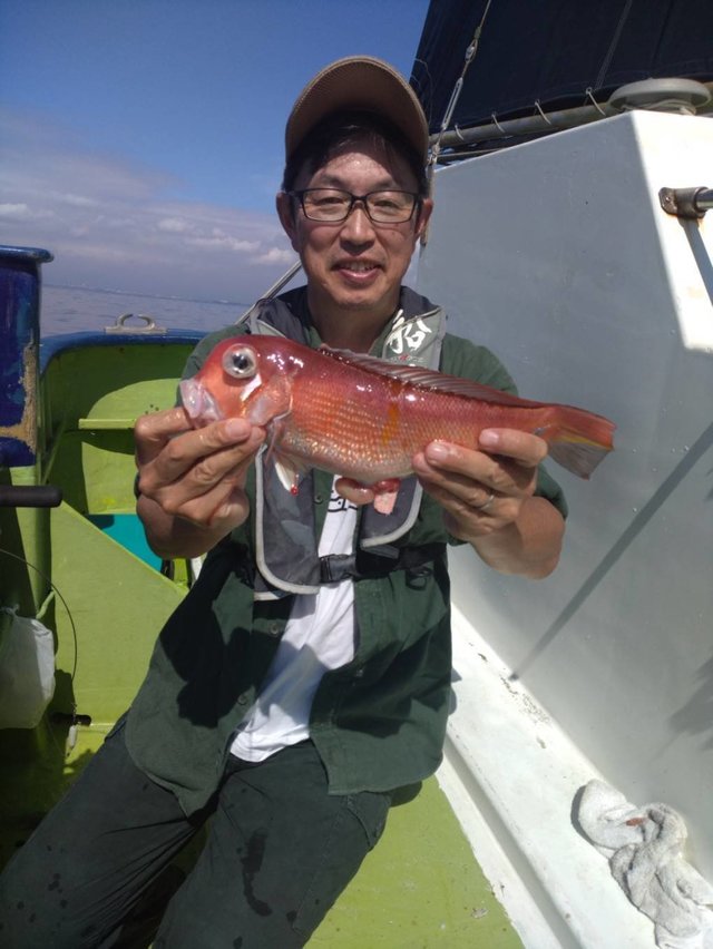 アマダイ(アカアマダイ)