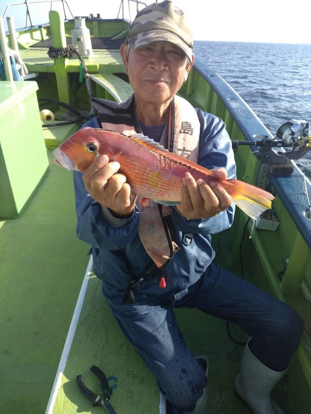 アマダイ(アカアマダイ)