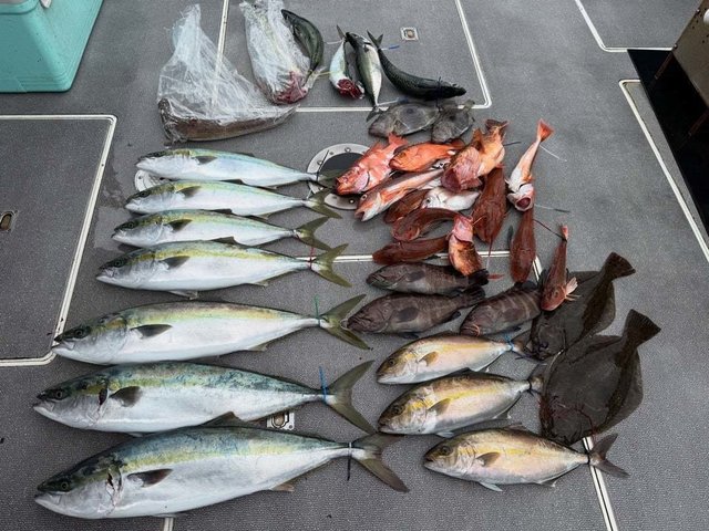 マハタ・ヒラマサ・カンパチ・チカメキントキ・ホウボウ・ヒラメ・マトウダイ