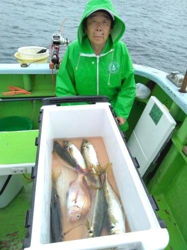 マダイ・アジ(マアジ)