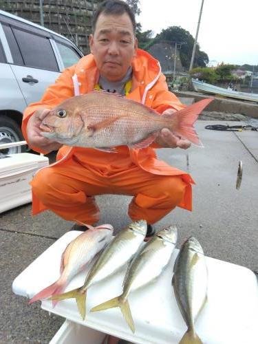 マダイ・アジ(マアジ)